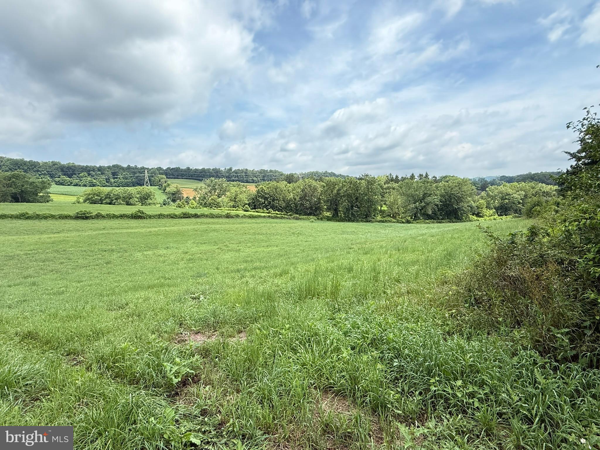 NONE AVAILABLE - Farm