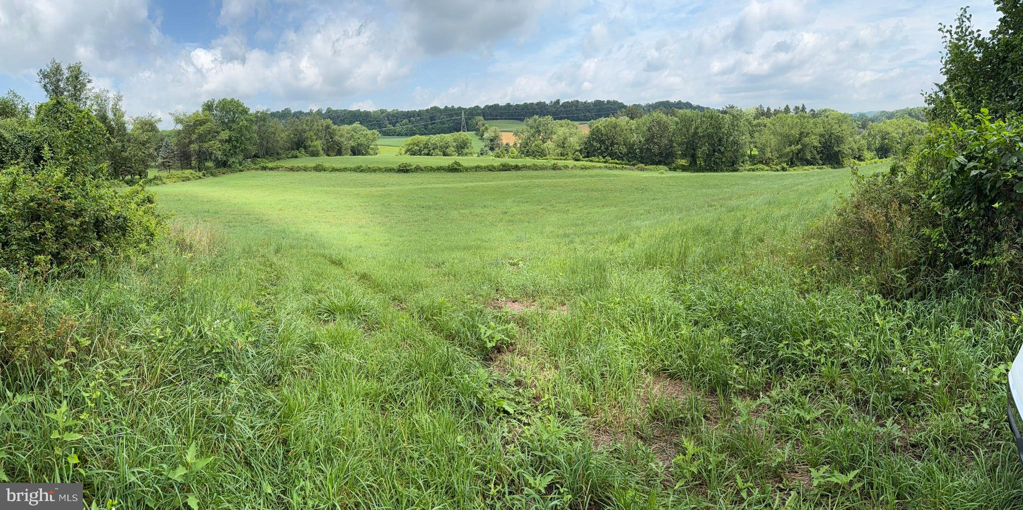 NONE AVAILABLE - Farm