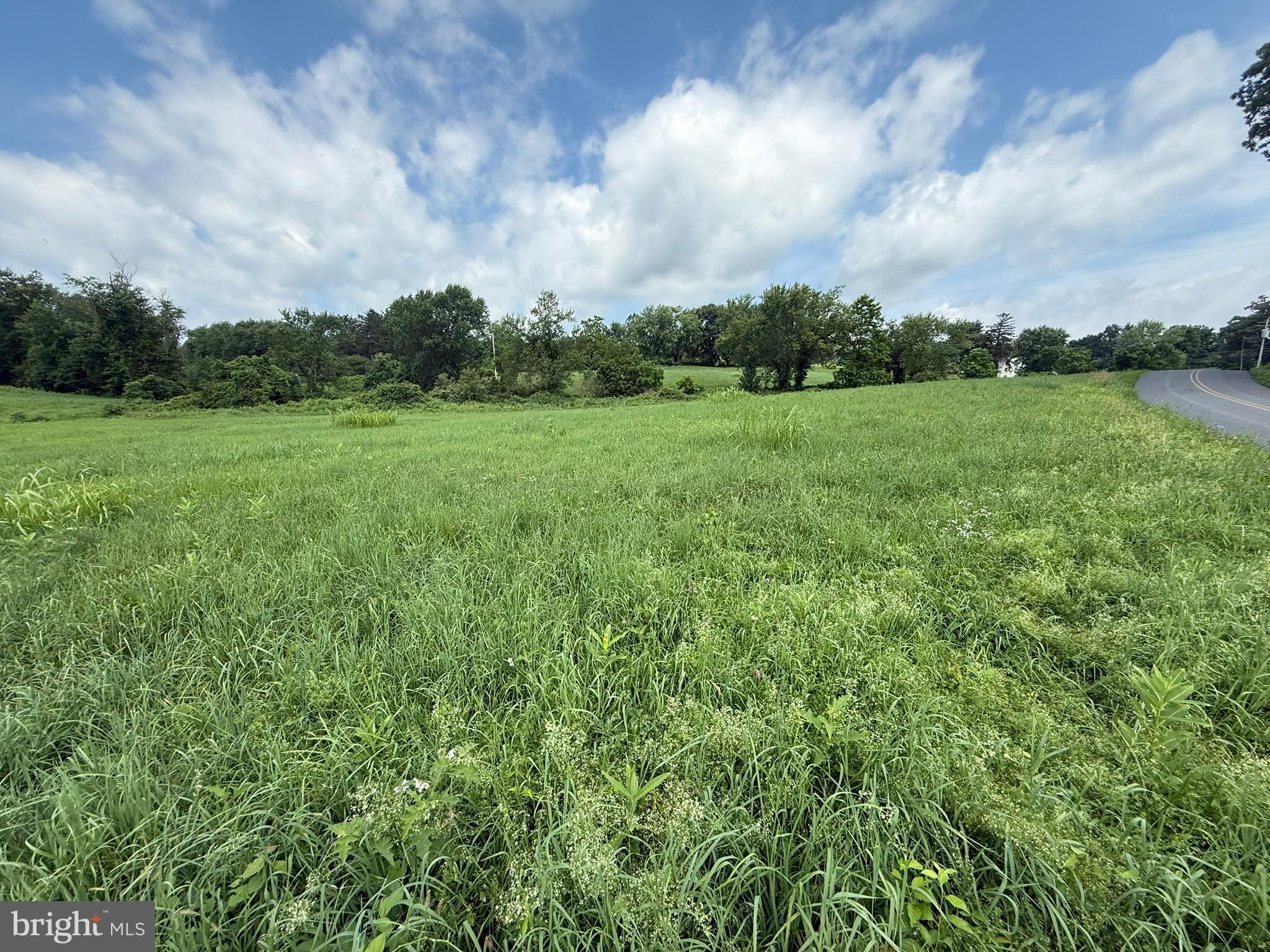 NONE AVAILABLE - Farm