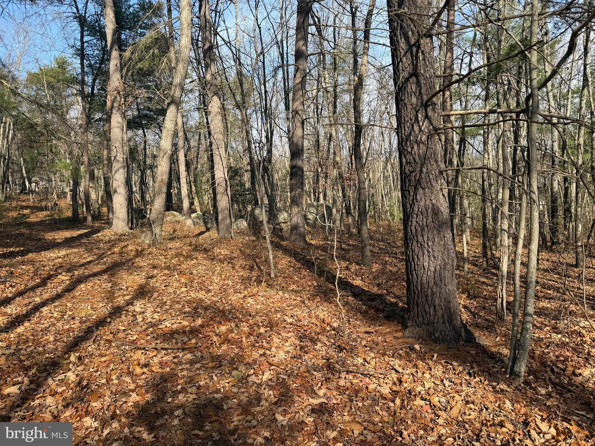 6 COOPER MOUNTAIN VIEW