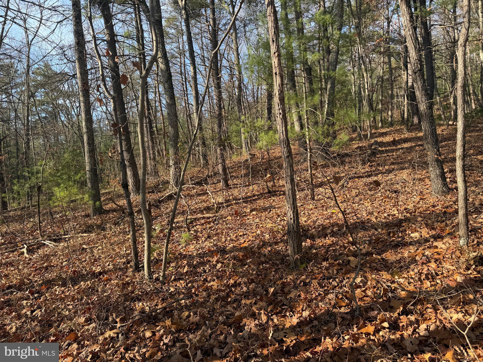 6 COOPER MOUNTAIN VIEW