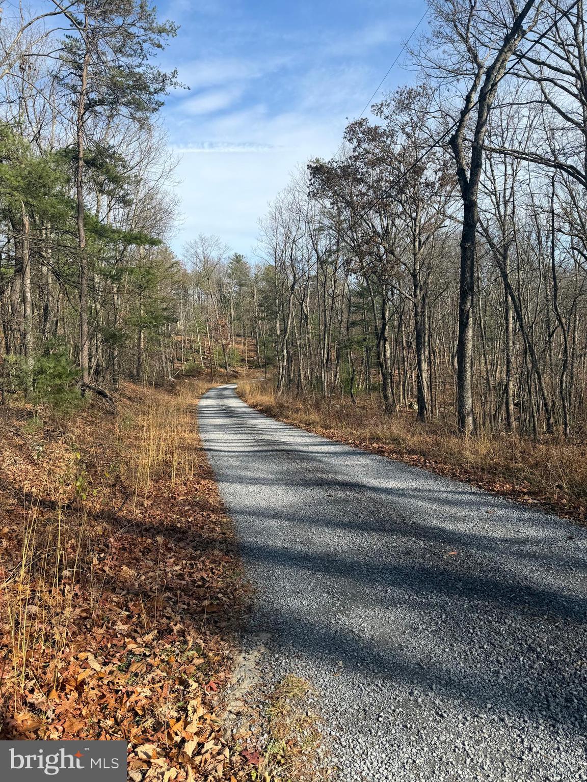 6 COOPER MOUNTAIN VIEW