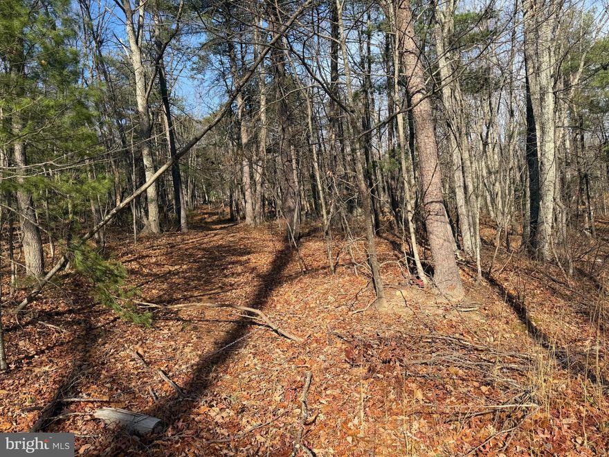 A needle in a haystack ! Over 5 acres in highly sought after Edwards Run in beautiful Capon Bridge, WV ! Lot is gently rolling but not steep and would be a wonderful spot for your full-time residence or recreational cabin ! Capon Bridge is  great location for commuters who work in Virginia but want cheap WV taxes and a great wooded lot in an excellent area. This lot features some amazing outcroppings and there is a stunning little private Mountain Lake for residents of this community as well !Only 30 minutes due West of Winchester and less than 2 hours from the DMV make this a great little spot. Come to wild, wonderful, WV and make this great little parcel your own but don't wait too long because lots this nice don't become available often and he who hesitates will lose out ! Adjoining lot 5 containing 5.23 acres is also available for the same price so lock them both up and have over 10.5 wooded acres all to your self !