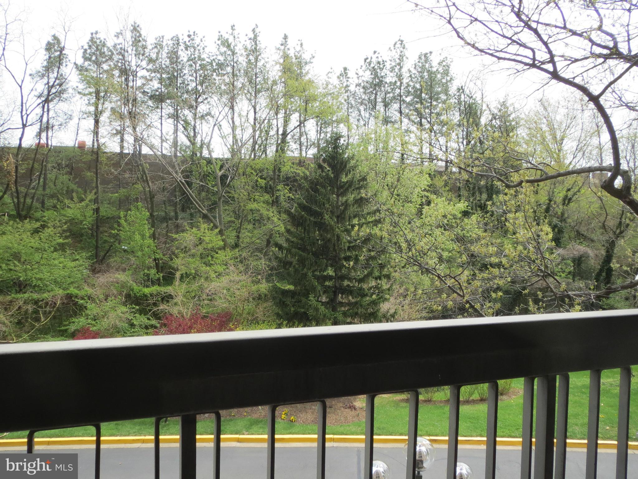 SKYLINE PLAZA - Residential Lease