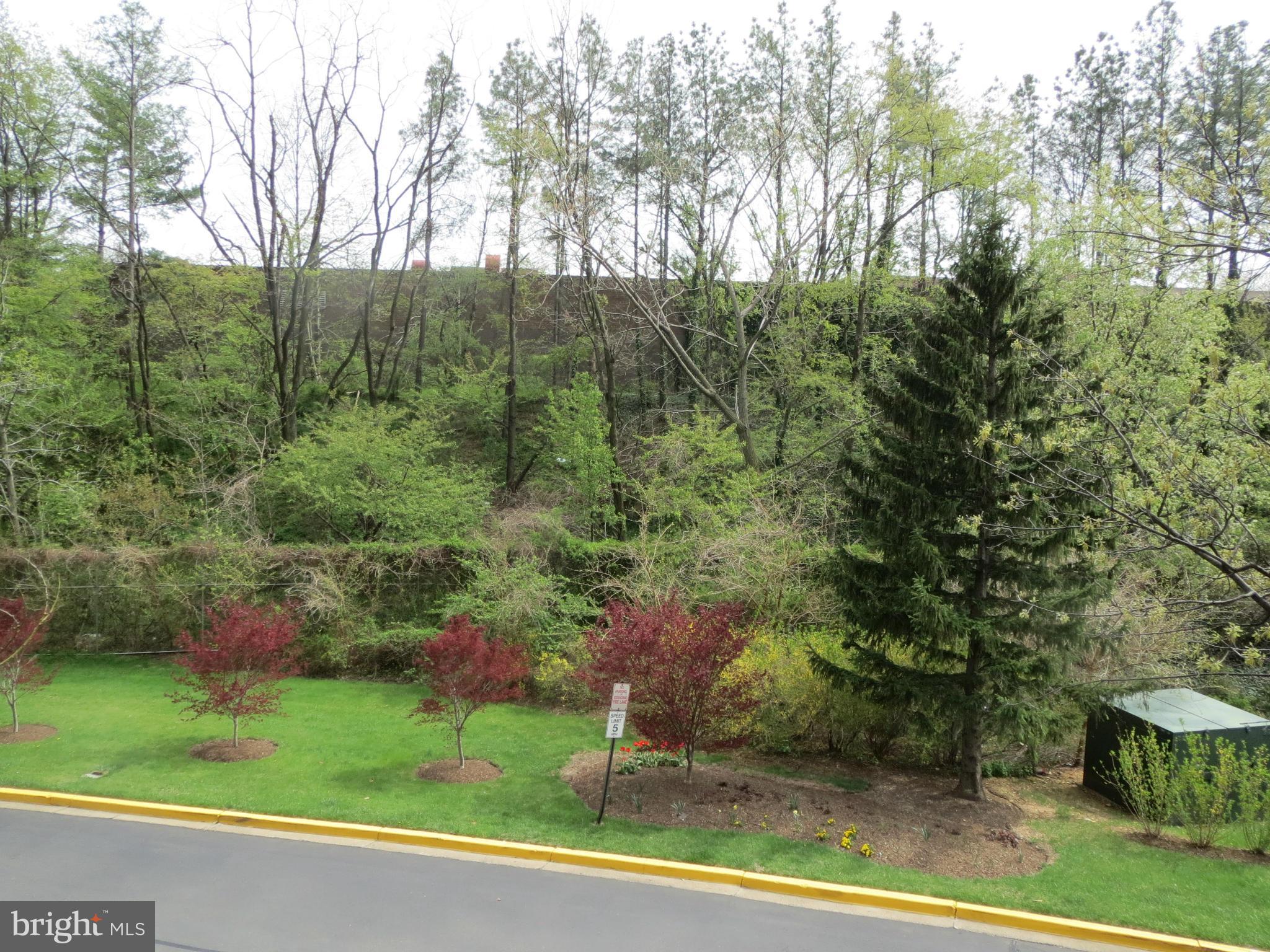 SKYLINE PLAZA - Residential Lease