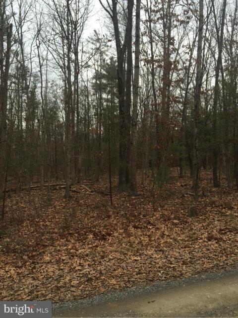 FOREST EDGE EST - Land