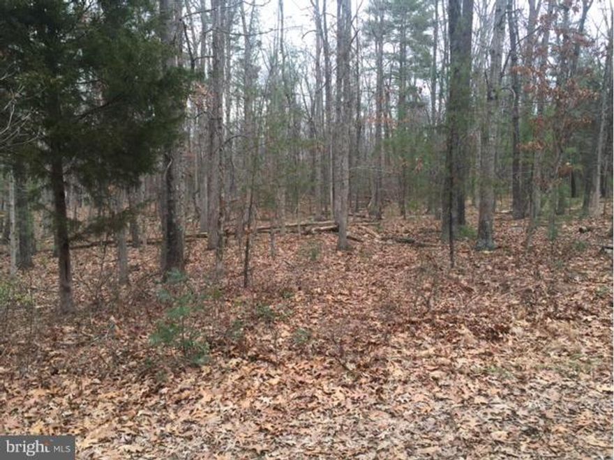 Peaceful, level wooded lot that is great for building your dream home in the woods. Privacy plus convenient to town. National Forest Access for lot owners. Public water hook up available. Site approval letter for septic available. Please visit this site for school verification...http://wvde.state.wv.us/ed_directory/?county_id=31