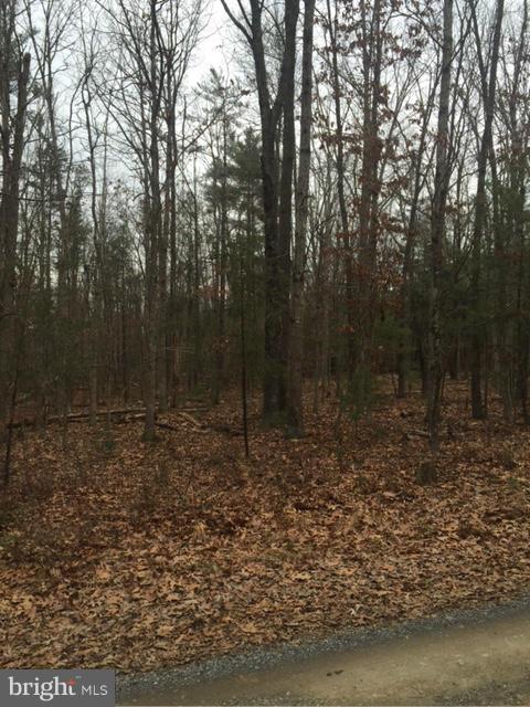 FOREST EDGE EST - Land