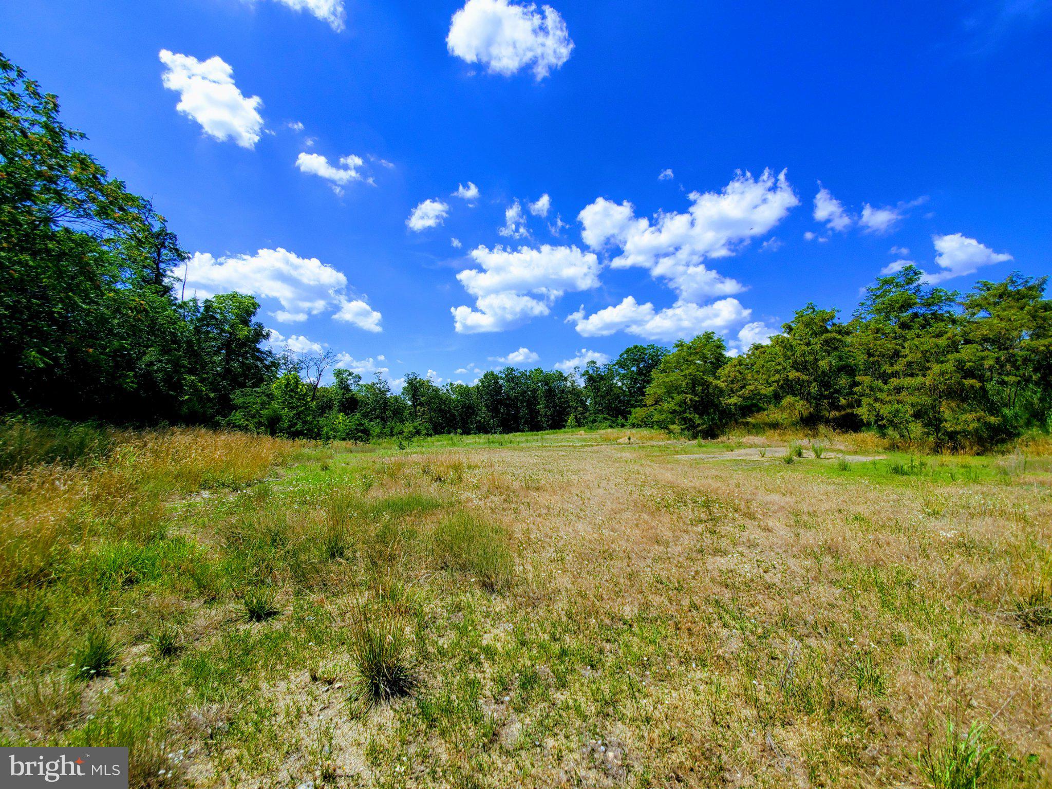 0 MOUNT OLIVE ROAD S