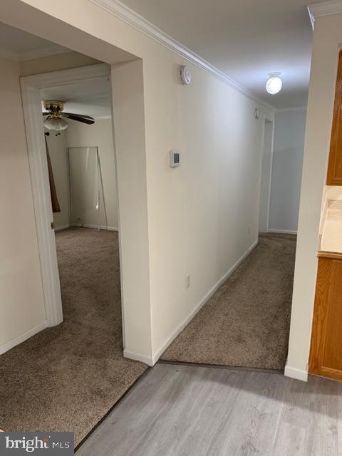 CEDARVILLE MOBILE HOME PARK - Residential