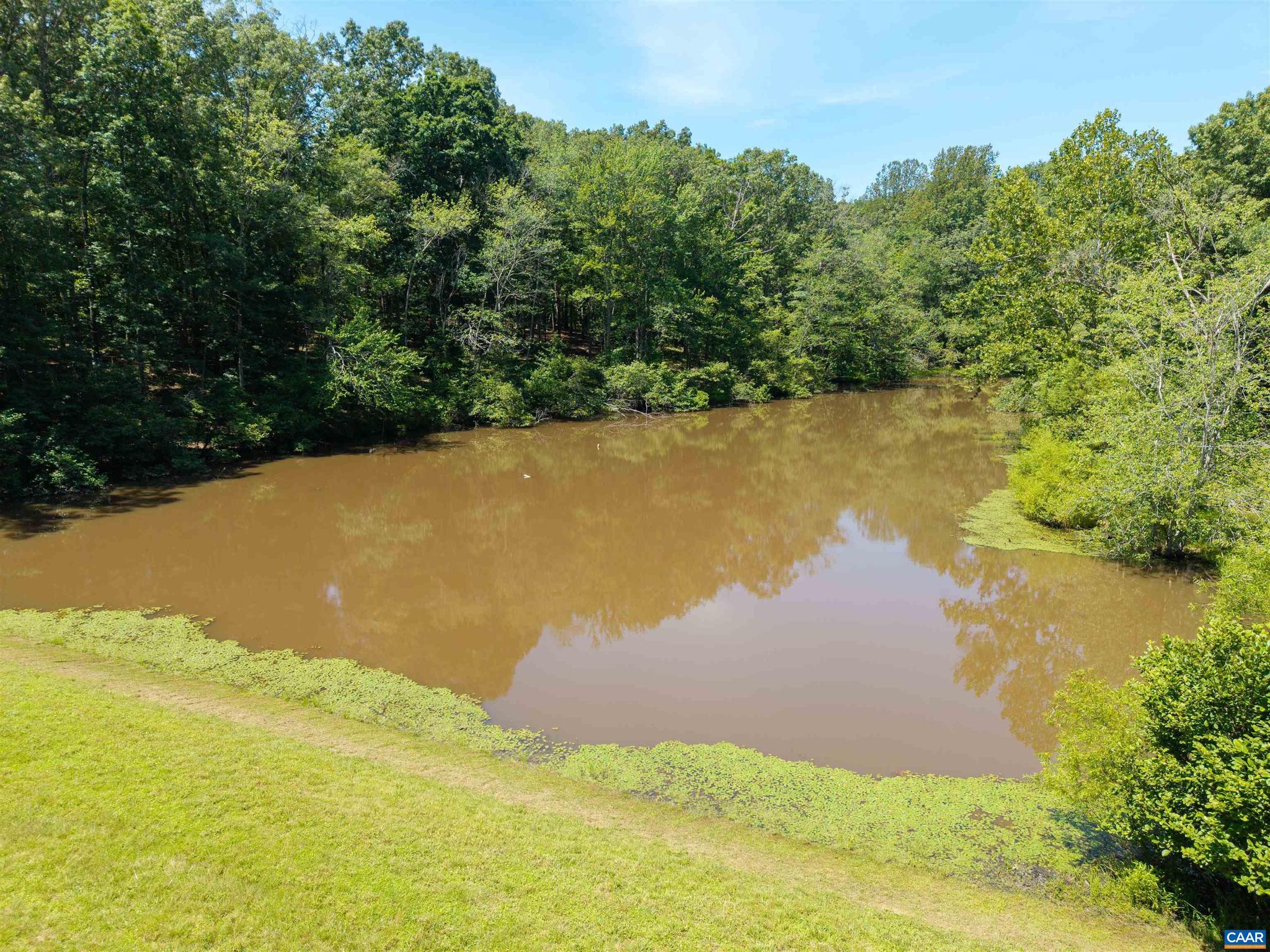 EARLYSVILLE FOREST - Residential