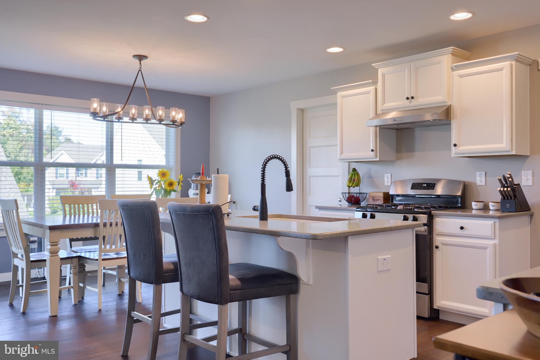 THE VIEWS AT BRIDGEWATER - Residential