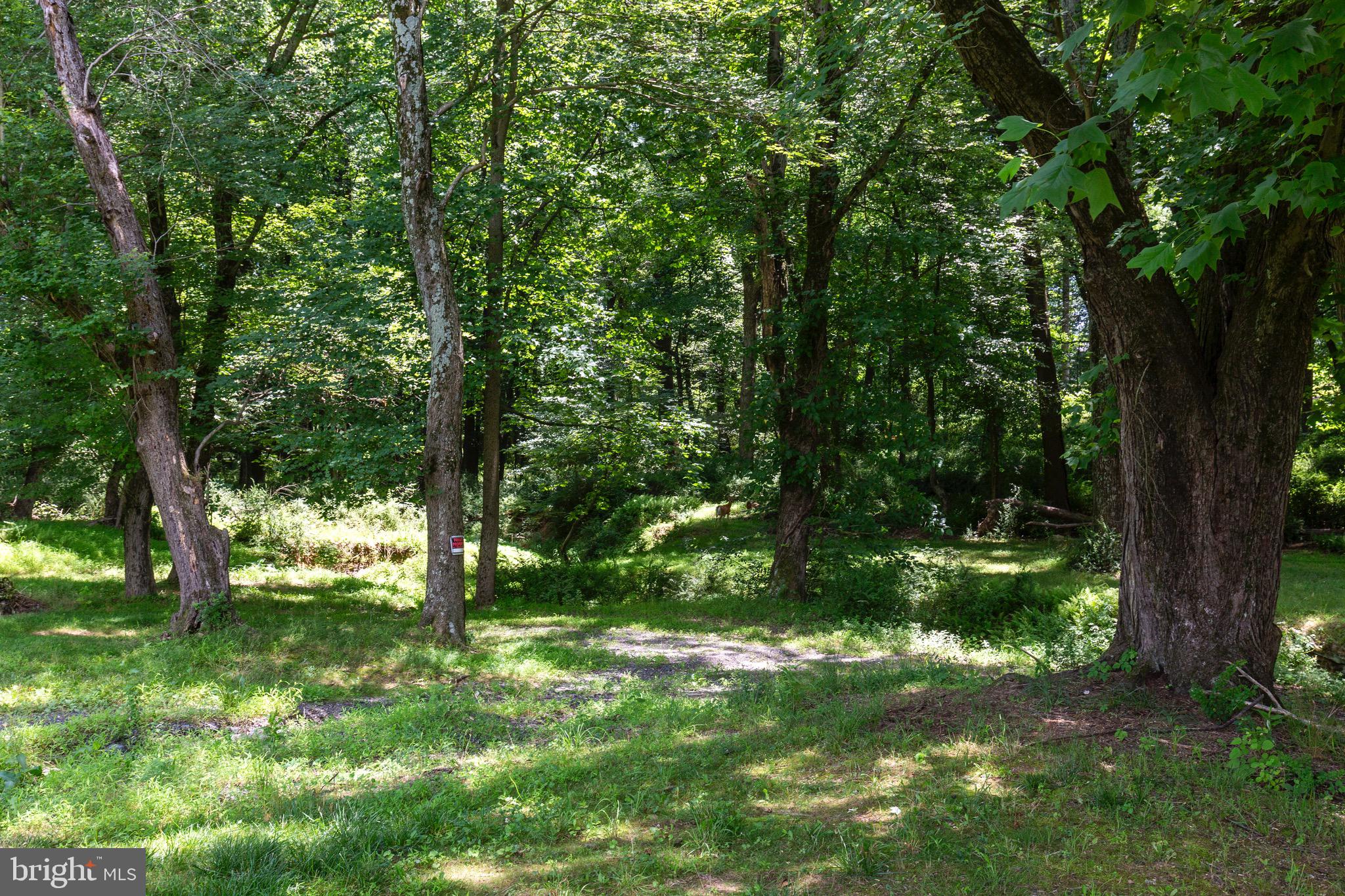 OLNEY OUTSIDE - Residential