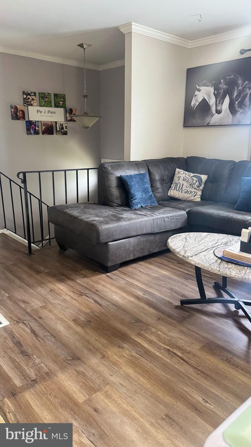 THOMSON ESTATES - Residential