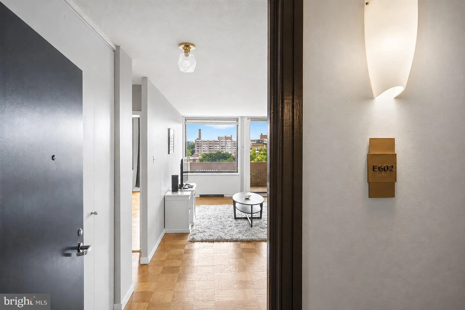 1245 4th Street SW Unit E602