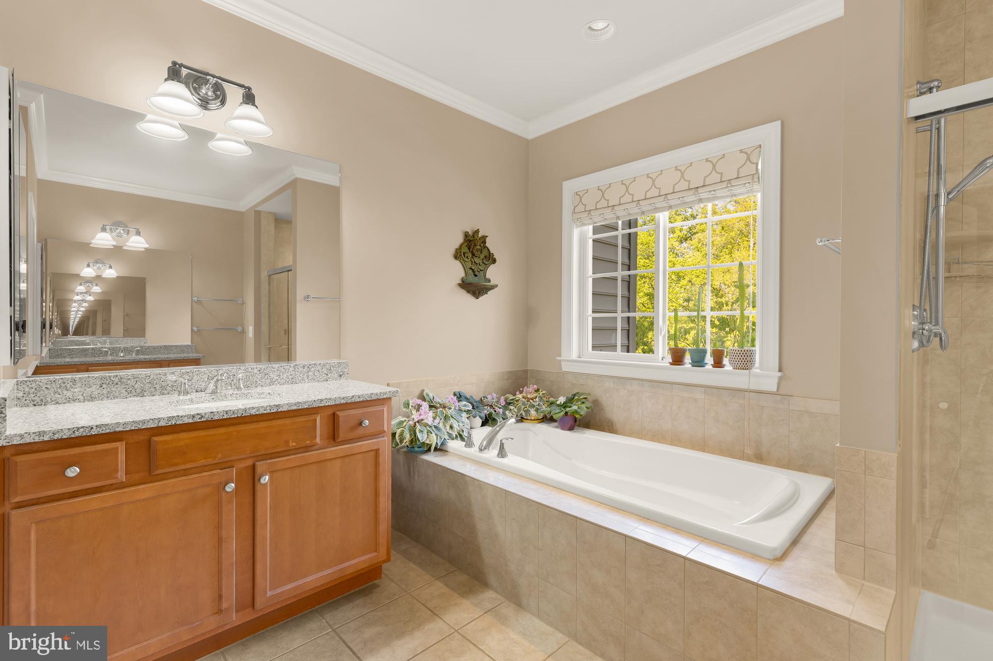 GREENE MILL PRESERVE - Residential