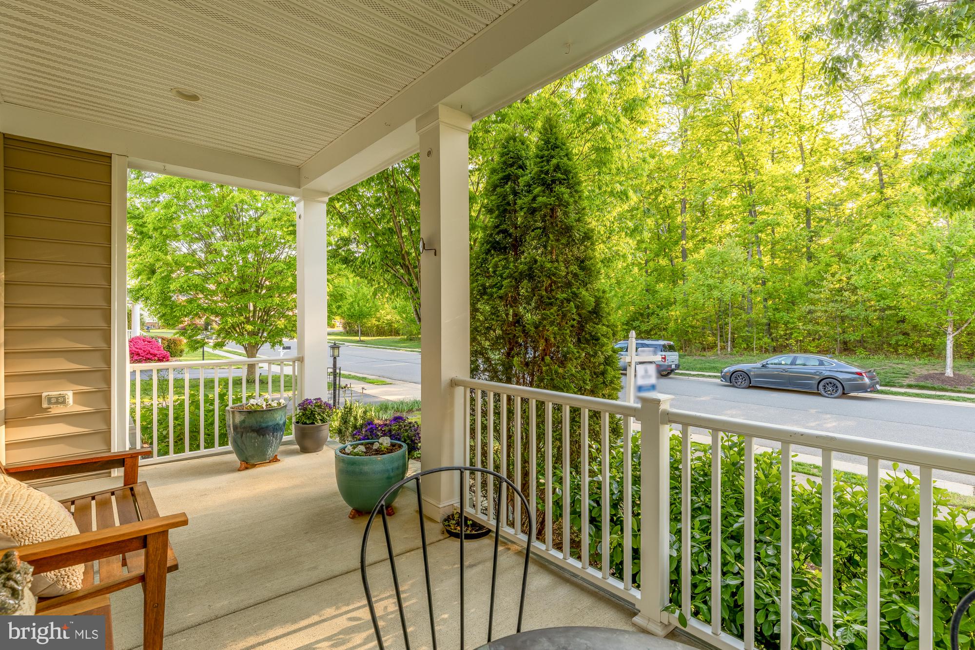 GREENE MILL PRESERVE - Residential