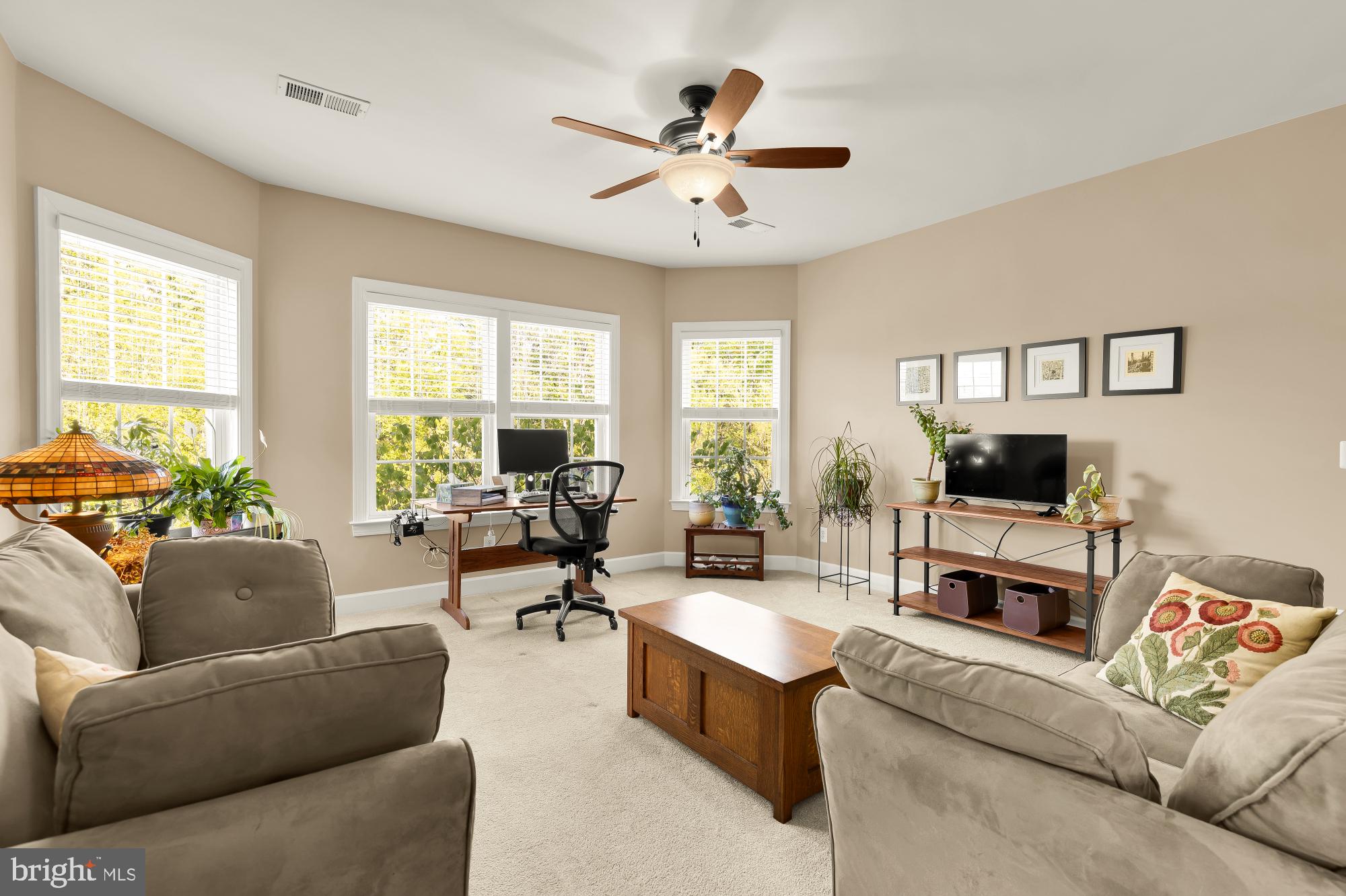 GREENE MILL PRESERVE - Residential