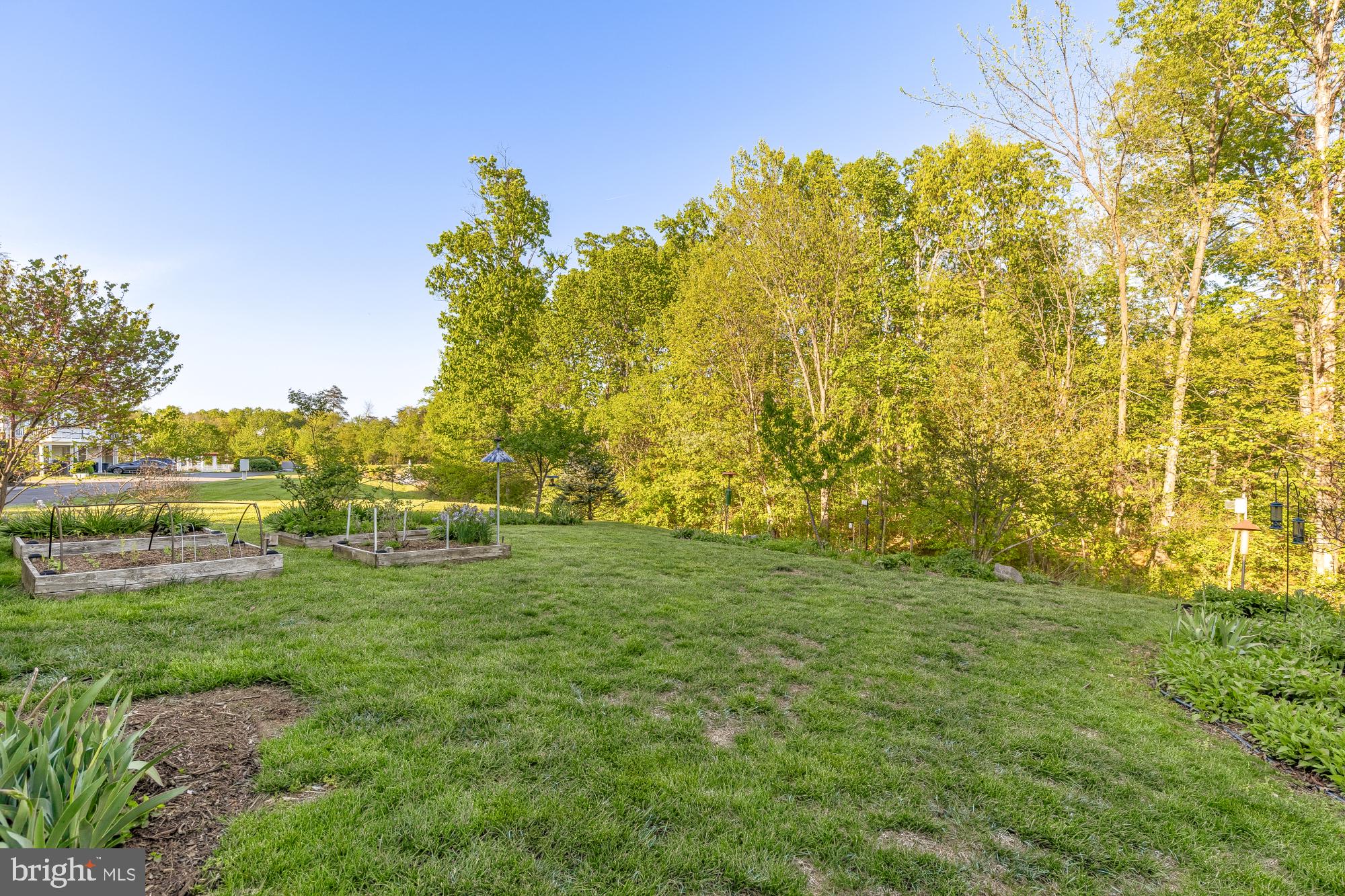 GREENE MILL PRESERVE - Residential