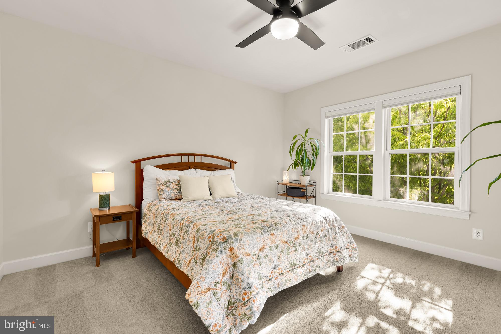 GREENE MILL PRESERVE - Residential