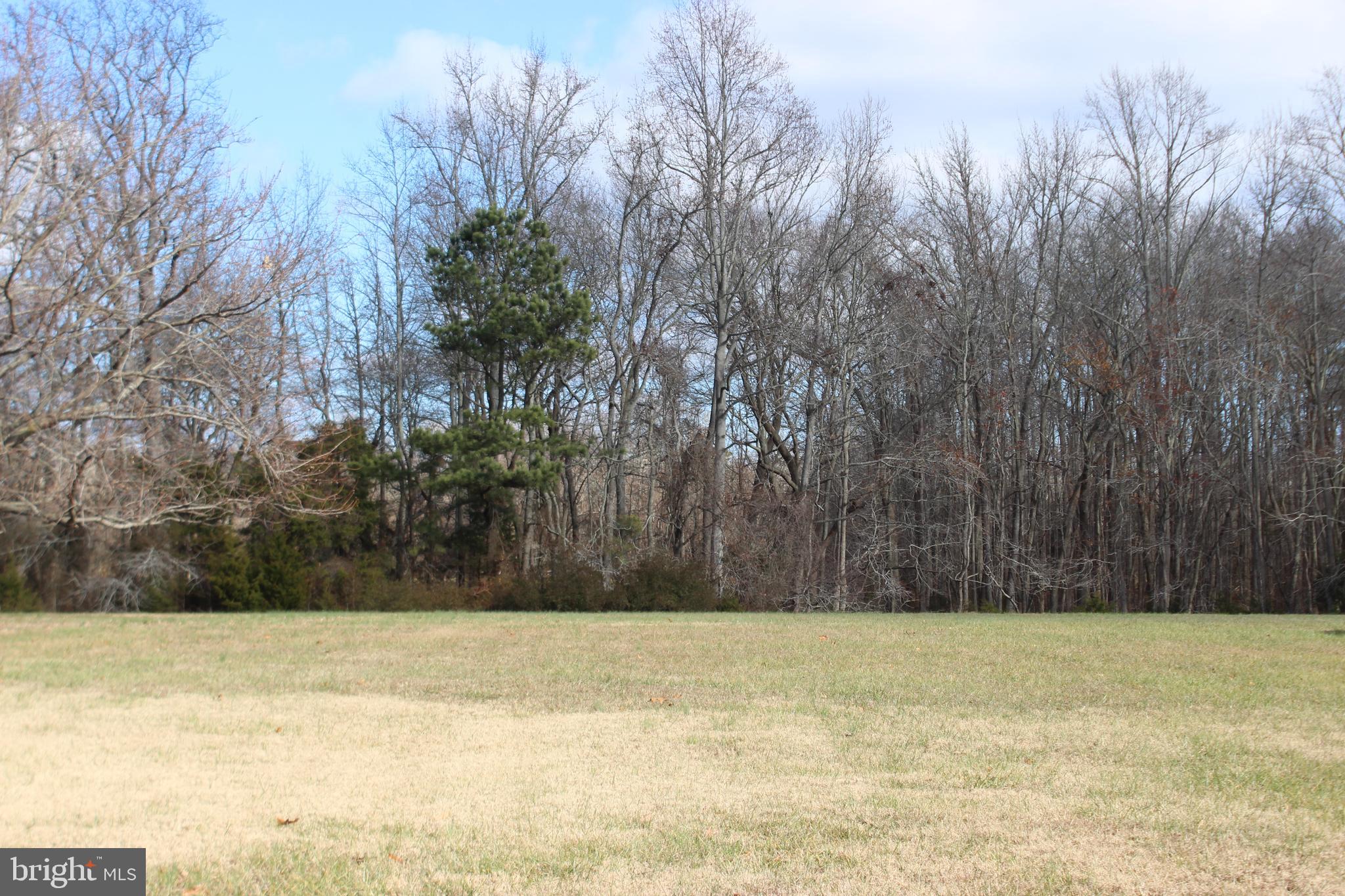 7/28 Cleared lot with Survey & 3 BR Cert Letter on file. Lot has water availability. This lot is in a highly sought after area of Captains Cove just a short distance to all the amenities. Buy now and build later, take advantage of this great buy! No time frame to build and no Builder Tie-In.. Enjoy all the amenities and the lifestyle on the Eastern Shore of VA. Close to Chincoteague Island, Wallops Island and Ocean City MD. HOA amenities: 9 Pristine Hole Golf, indoor/outdoor pools (2), fitness center, basketball, tennis & pickle ball courts, boat ramp, docks, playground, biking & walking trail, dog park, security and so much more. Call today for more information.