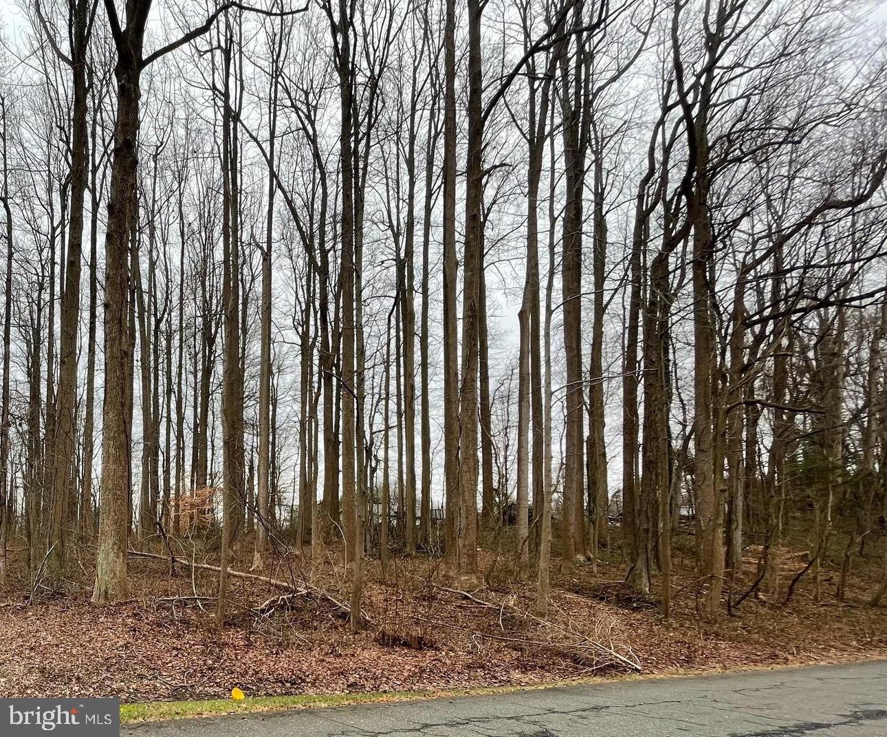 CHESAPEAKE HEIGHTS - Land