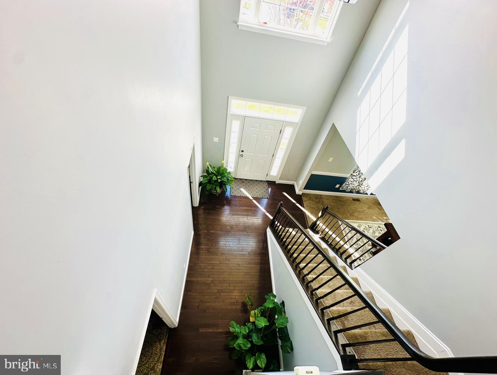 TIMBERGROVE - Residential