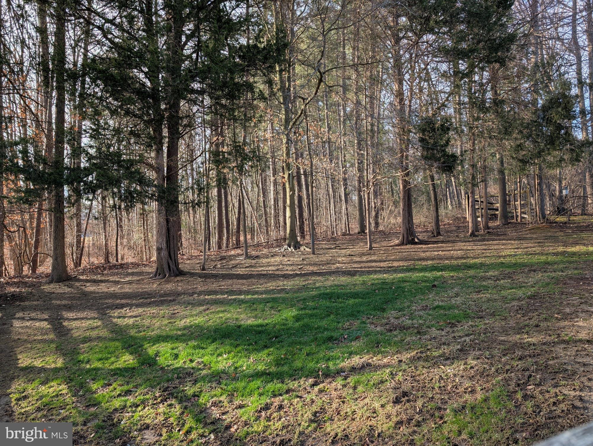 WALNUT HILL - Residential