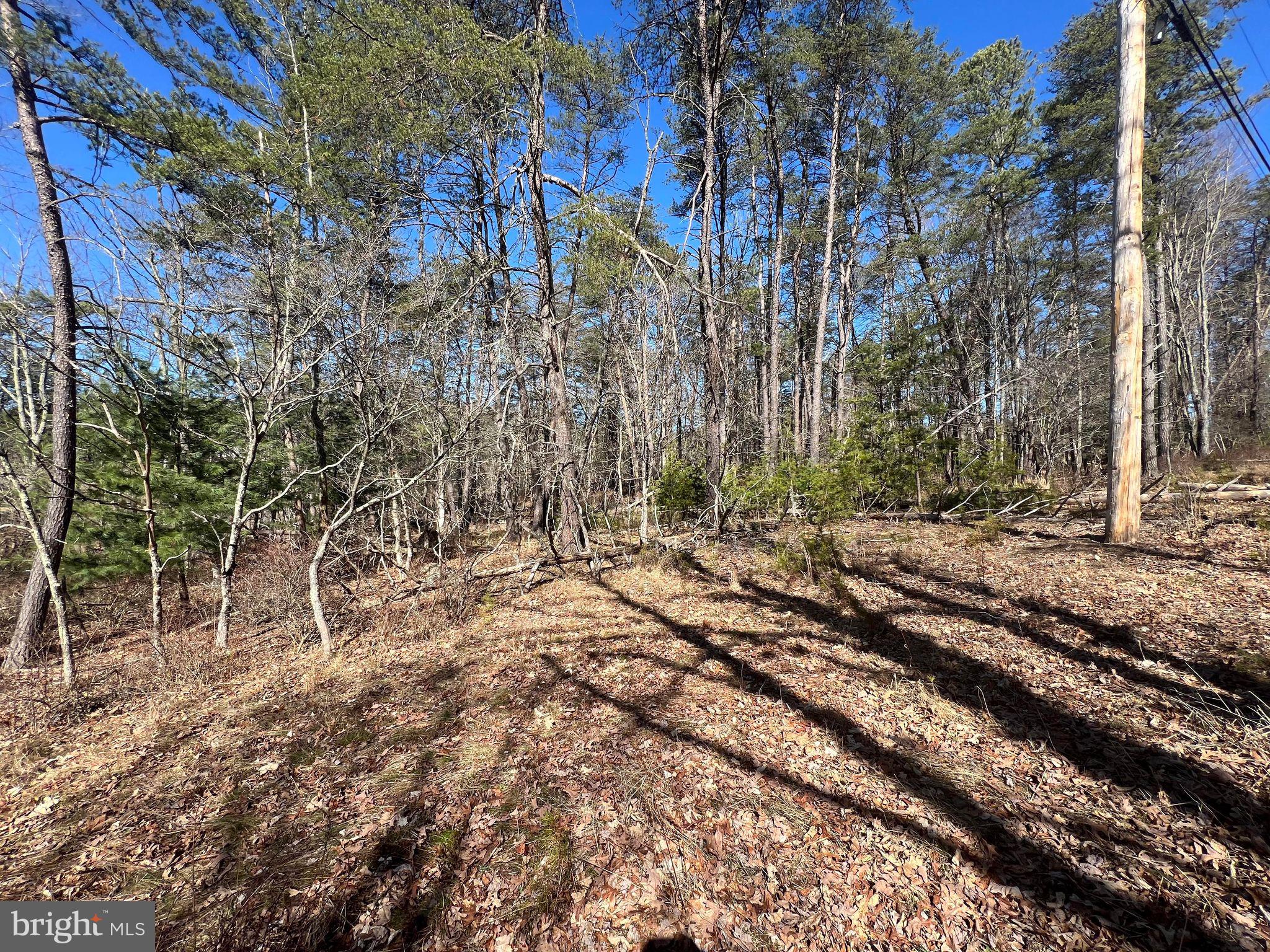 DILLONS RUN ESTATES - Land