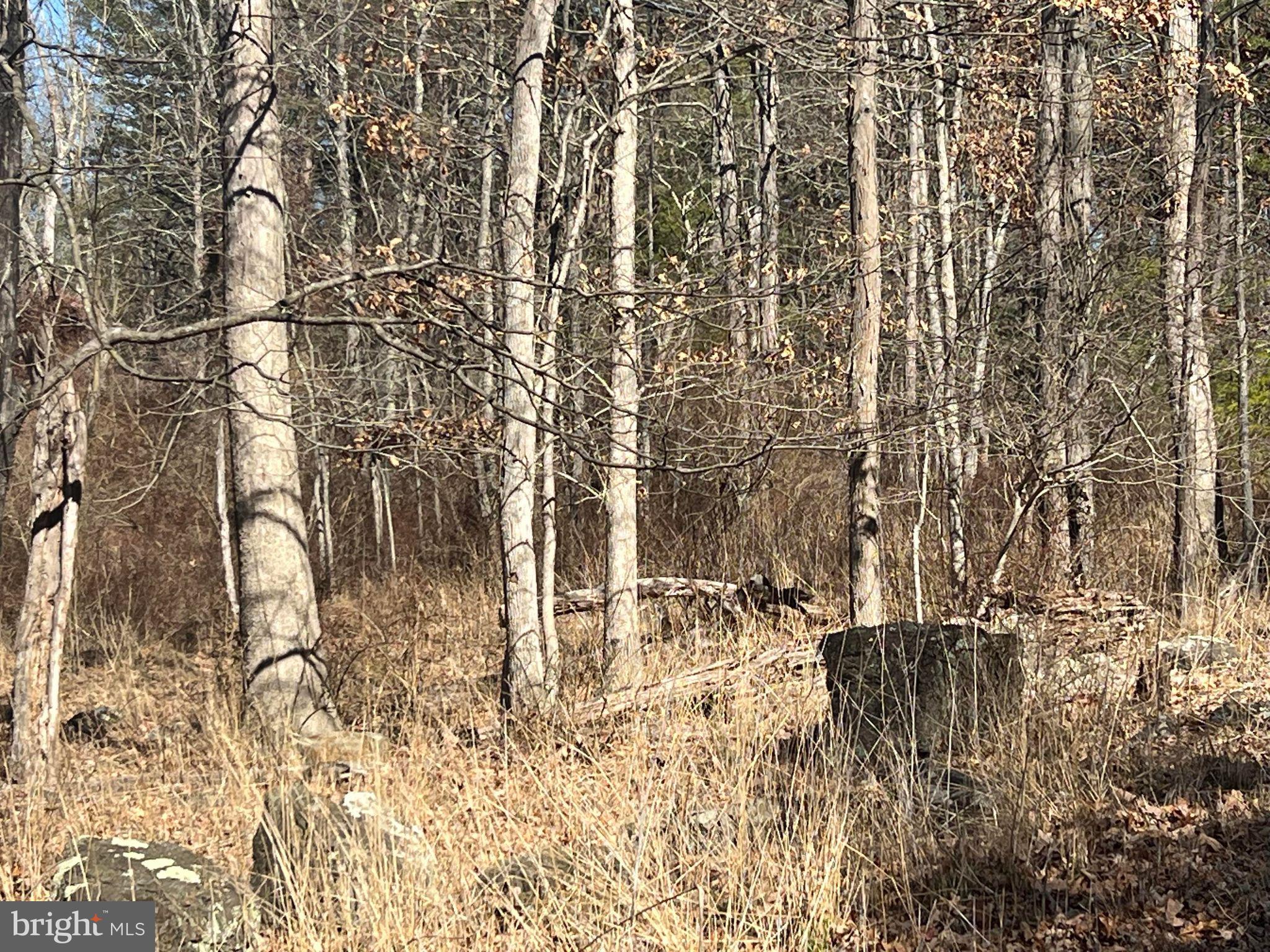 DILLONS RUN ESTATES - Land