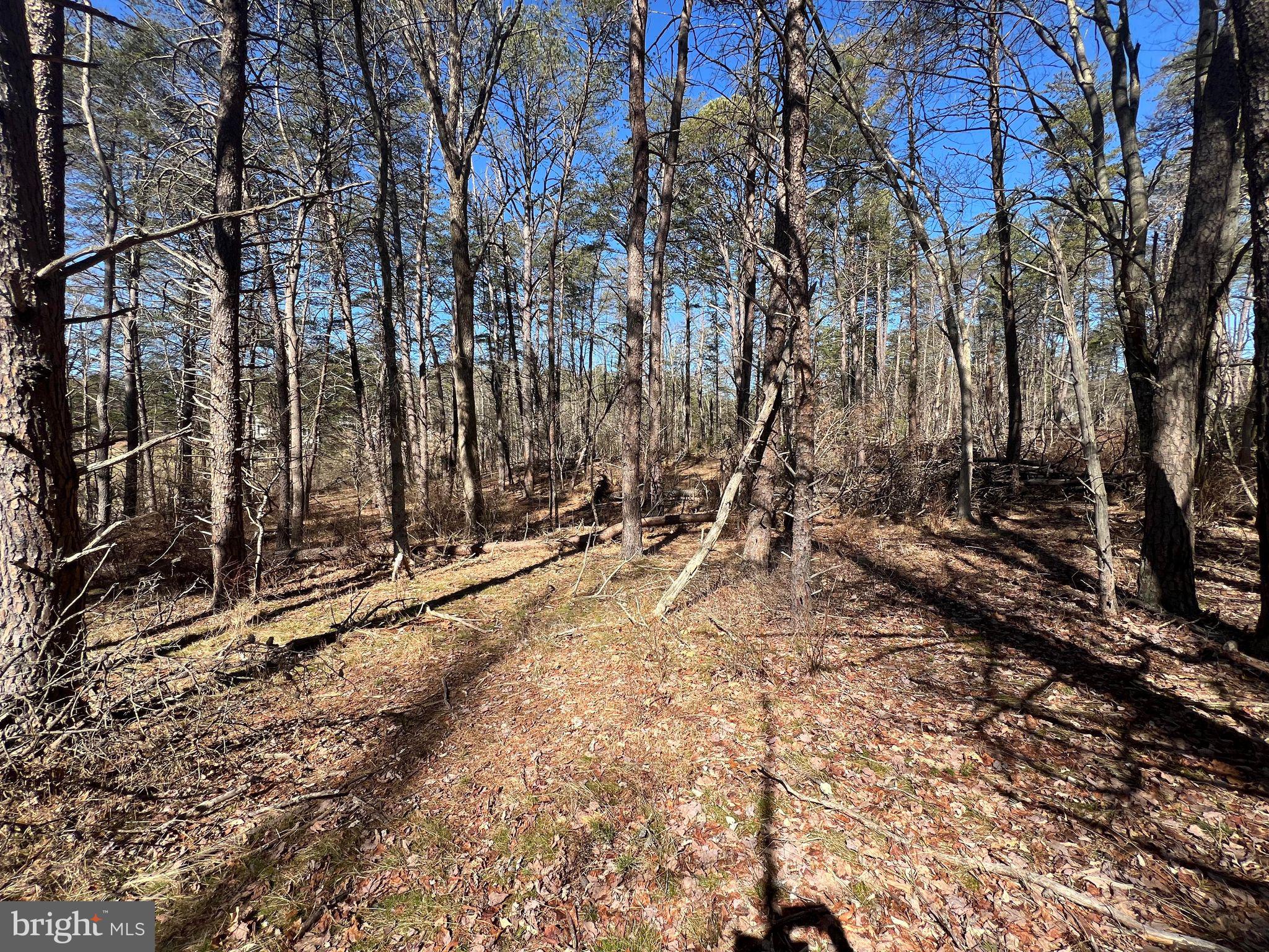 DILLONS RUN ESTATES - Land