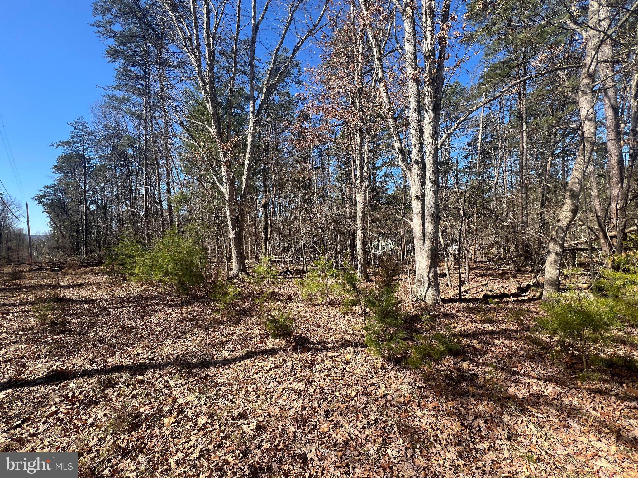 DILLONS RUN ESTATES - Land