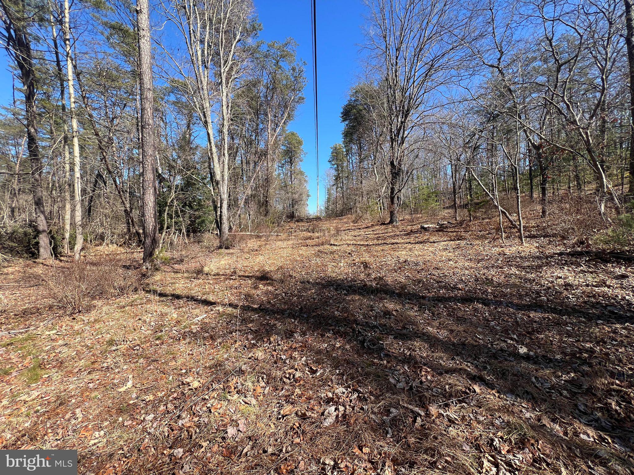 DILLONS RUN ESTATES - Land