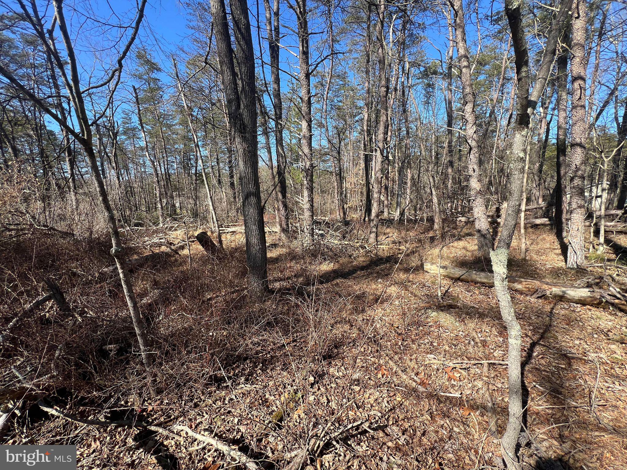 DILLONS RUN ESTATES - Land