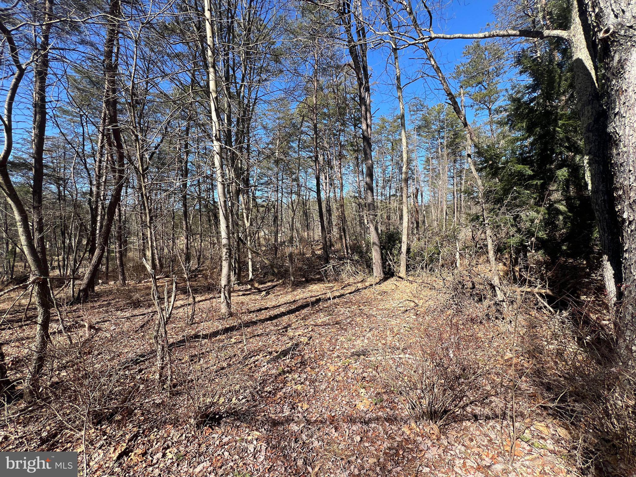 DILLONS RUN ESTATES - Land