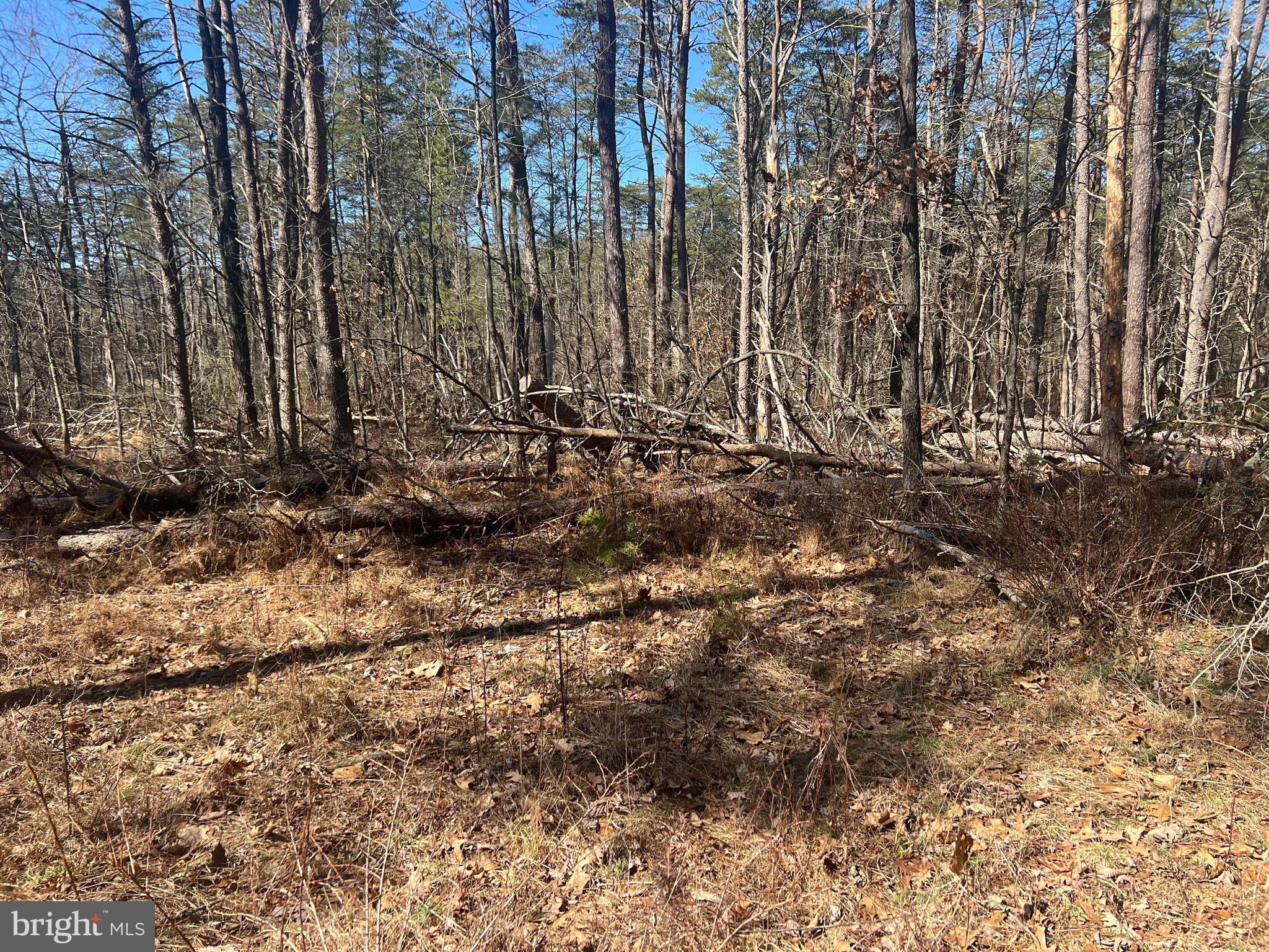 DILLONS RUN ESTATES - Land