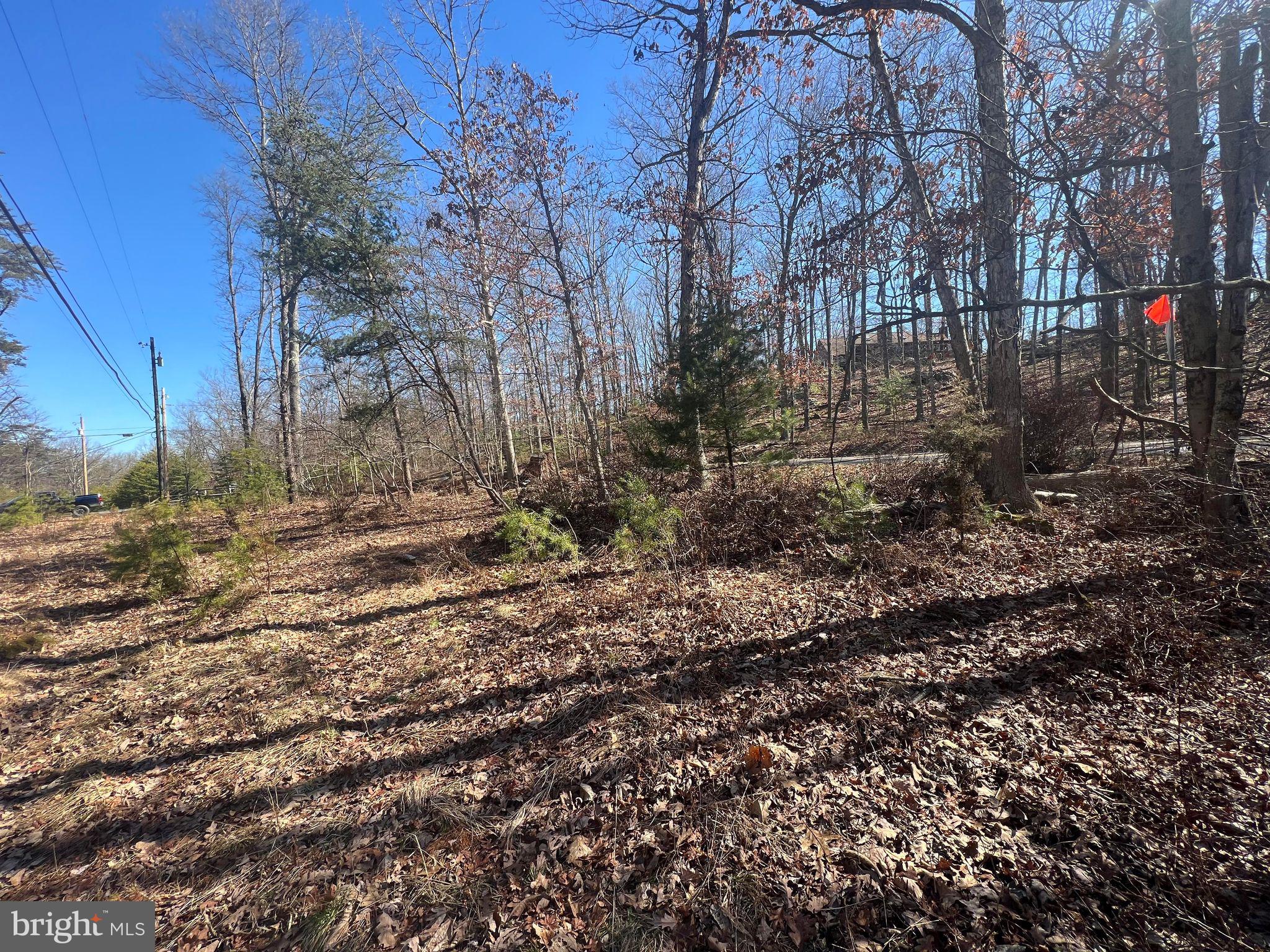 DILLONS RUN ESTATES - Land