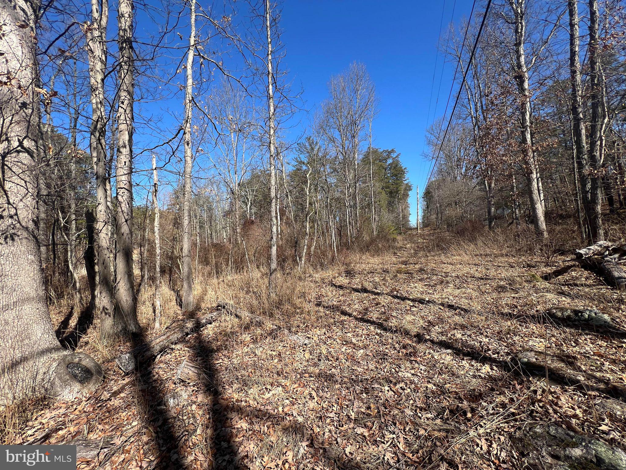 DILLONS RUN ESTATES - Land