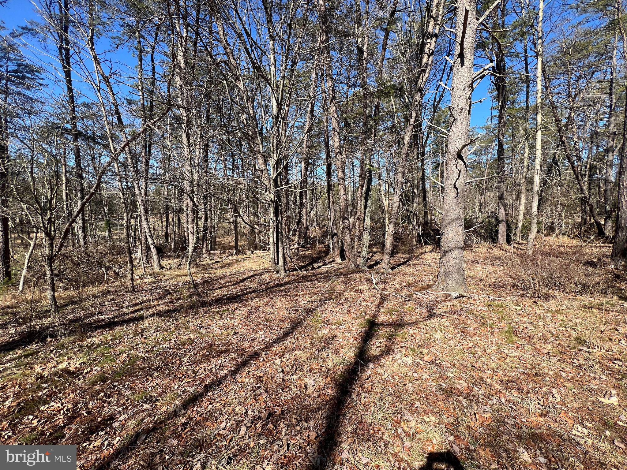 DILLONS RUN ESTATES - Land