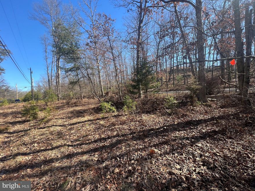 WOW ! What a great 5 acre lot ! Beautiful  building lot in highly desirable  Capon Bridge WV only 30 minutes from Winchester VA w/ paved road frontage in sought after Dillons Run Estates. Lot has electric already to the property is  completely level and ready for your WV dream home ! Priced to sell at under 40k so make your appointment to see this wonderful lot today ! Great investment property to add to your portfolio , or to buy and hold until you are ready to build your forever home . Land is better than $$$ and they really aren't making any more of it so come take a look and you'll be glad you did!