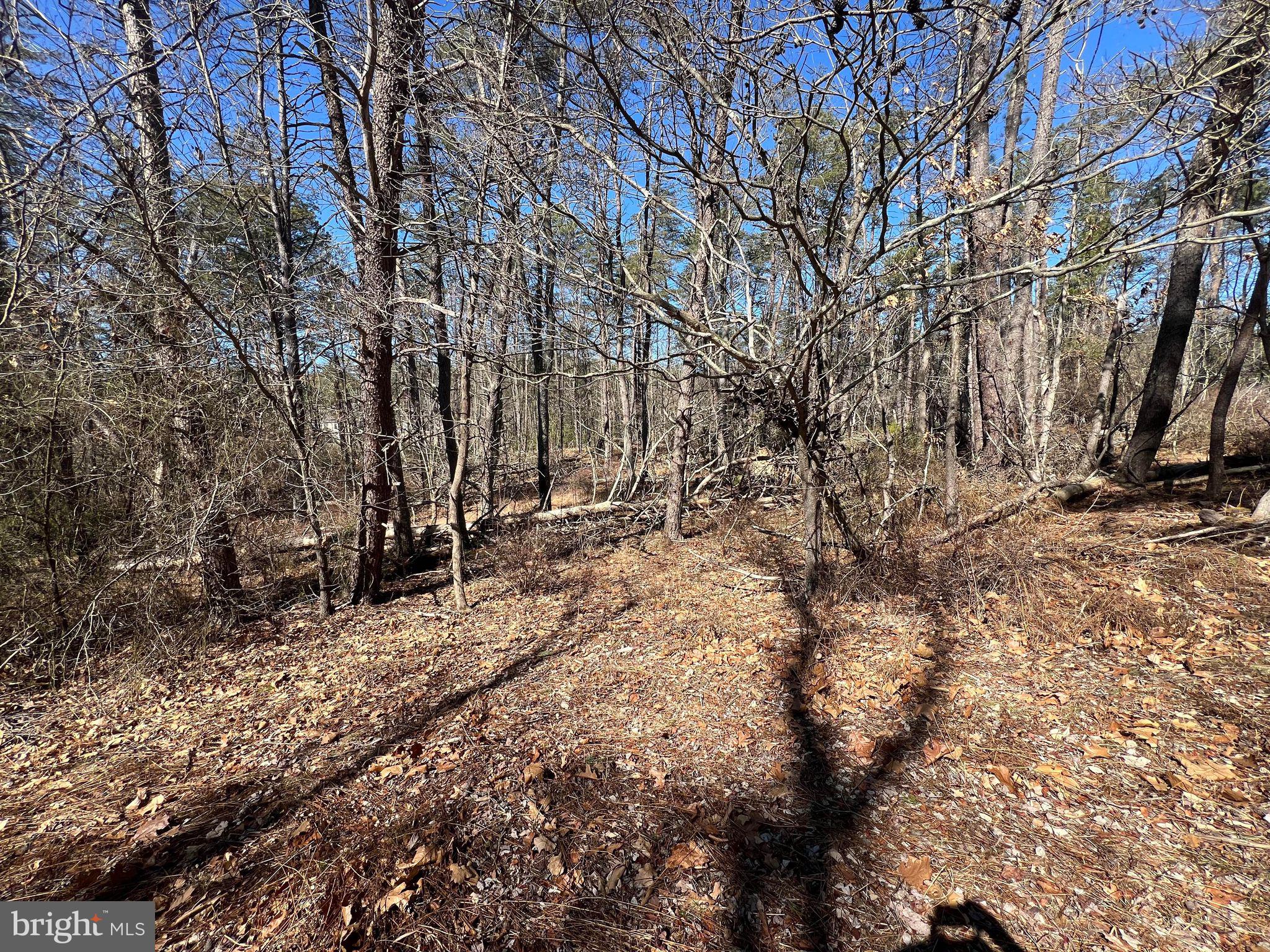 DILLONS RUN ESTATES - Land