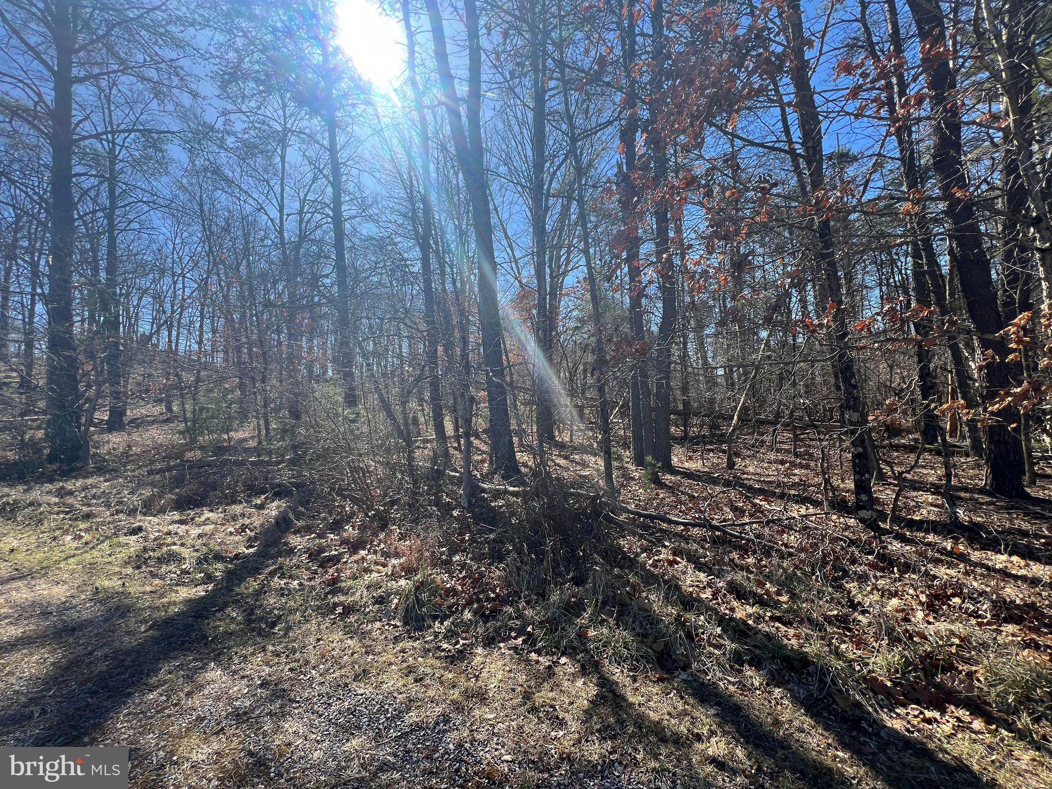 DILLONS RUN ESTATES - Land