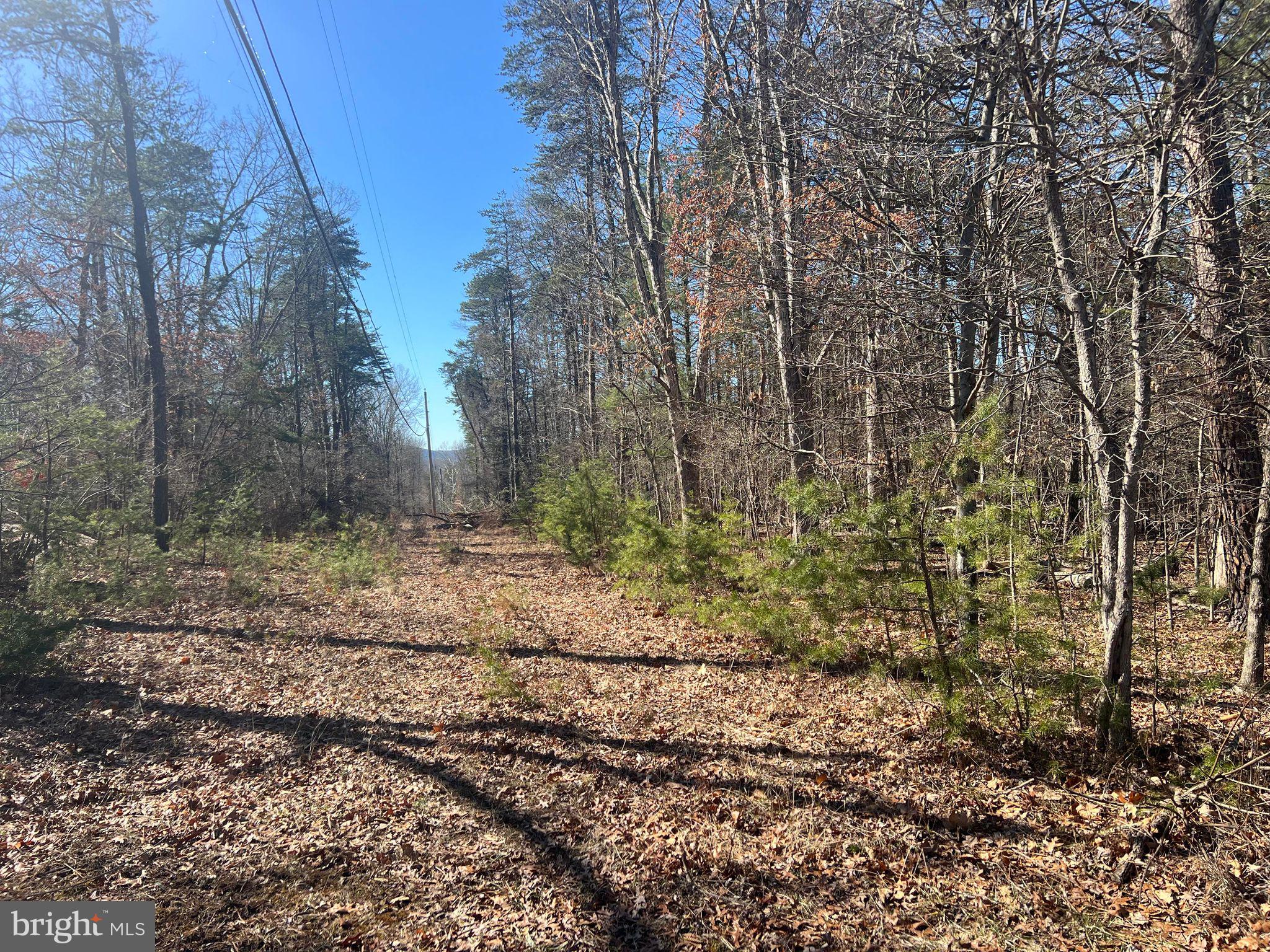 DILLONS RUN ESTATES - Land