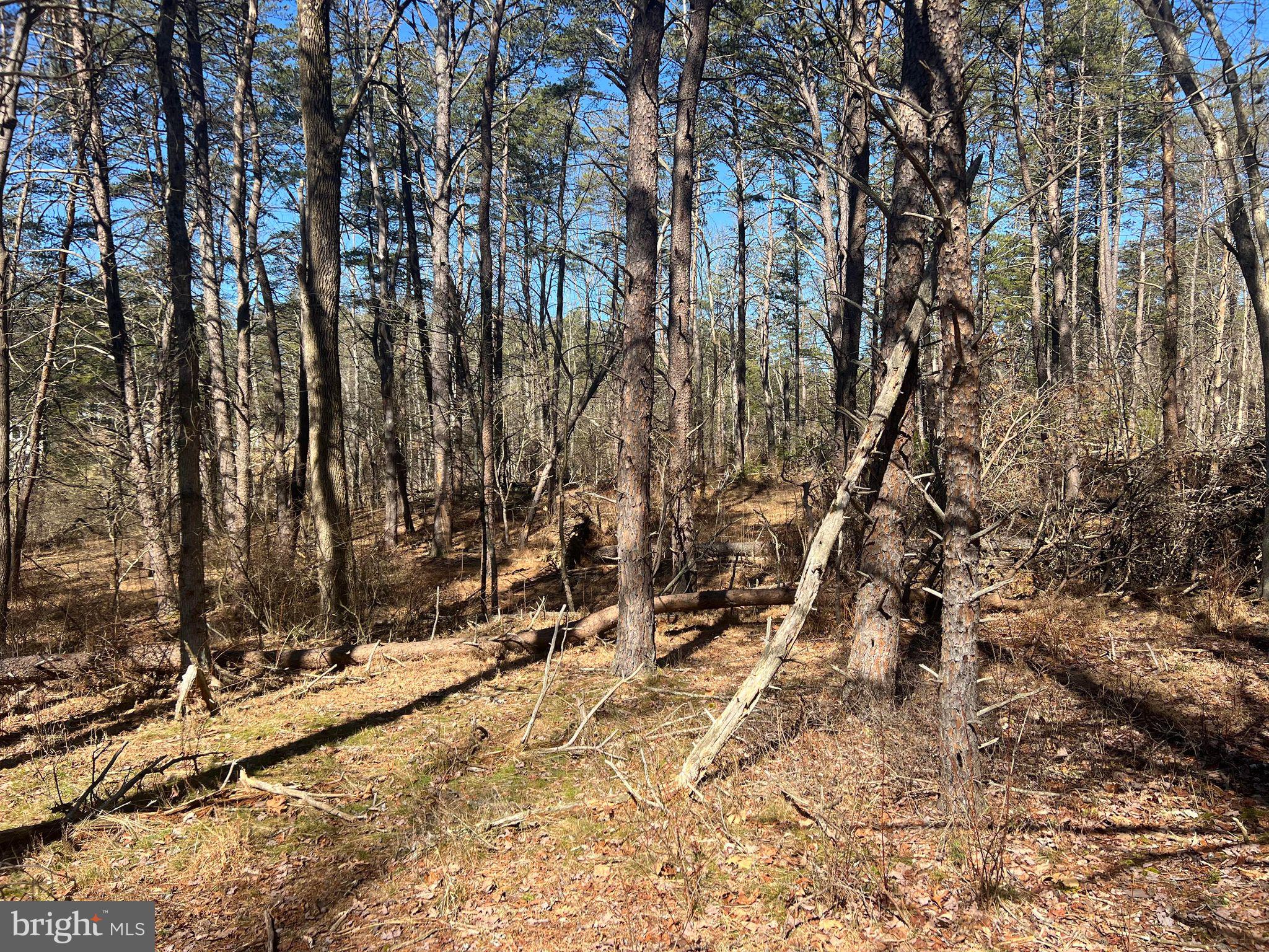 DILLONS RUN ESTATES - Land