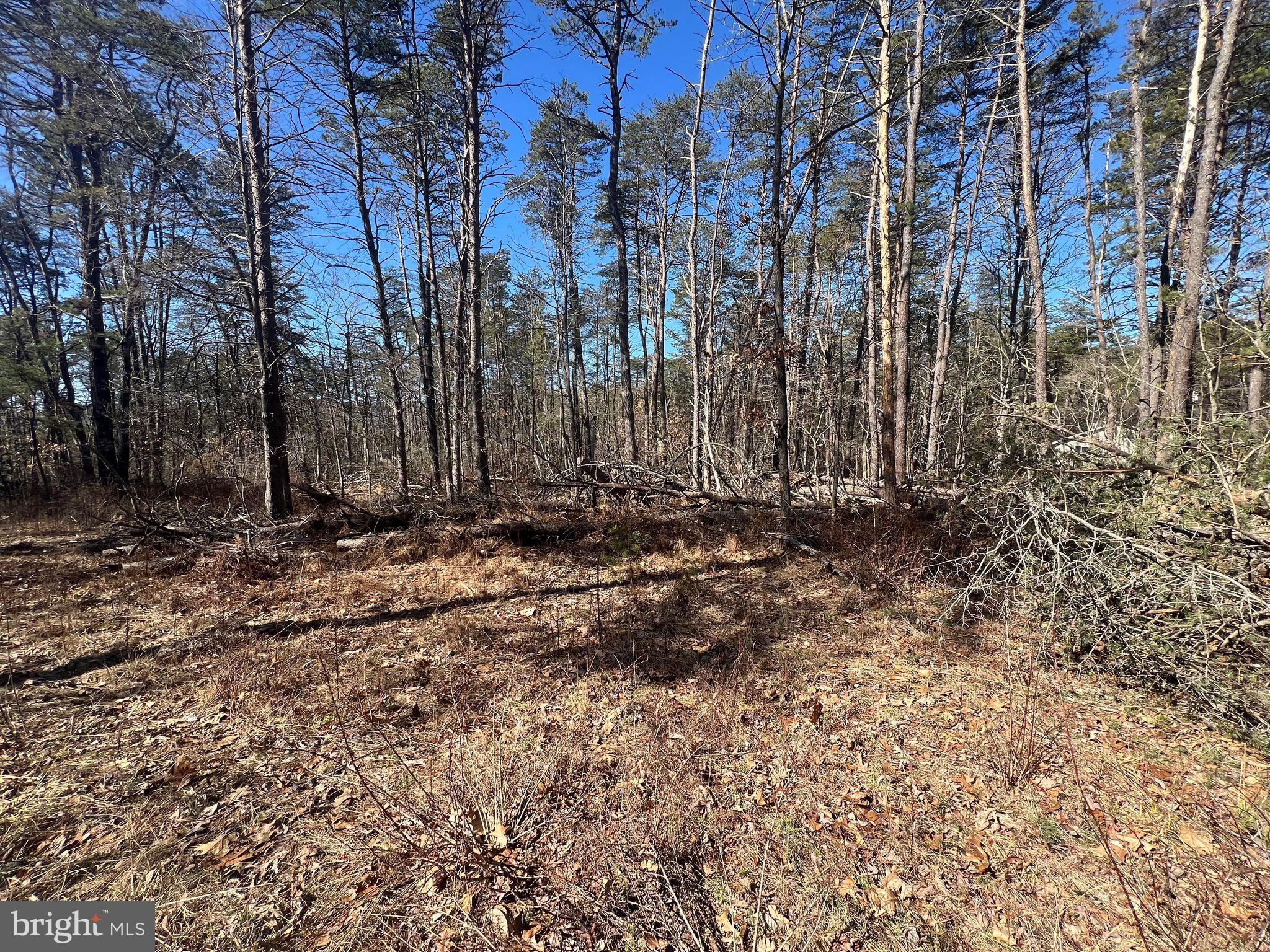 DILLONS RUN ESTATES - Land