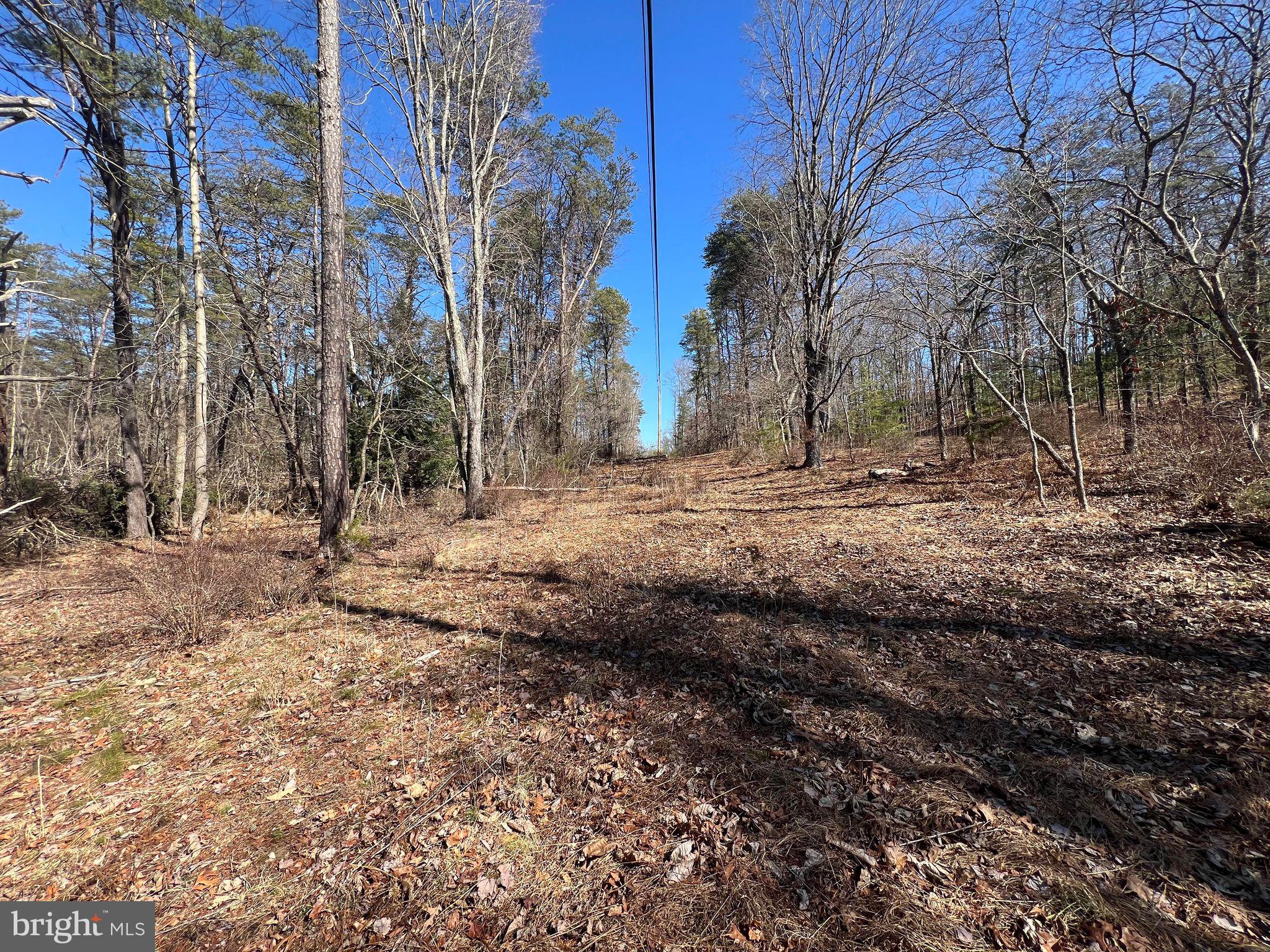 DILLONS RUN ESTATES - Land