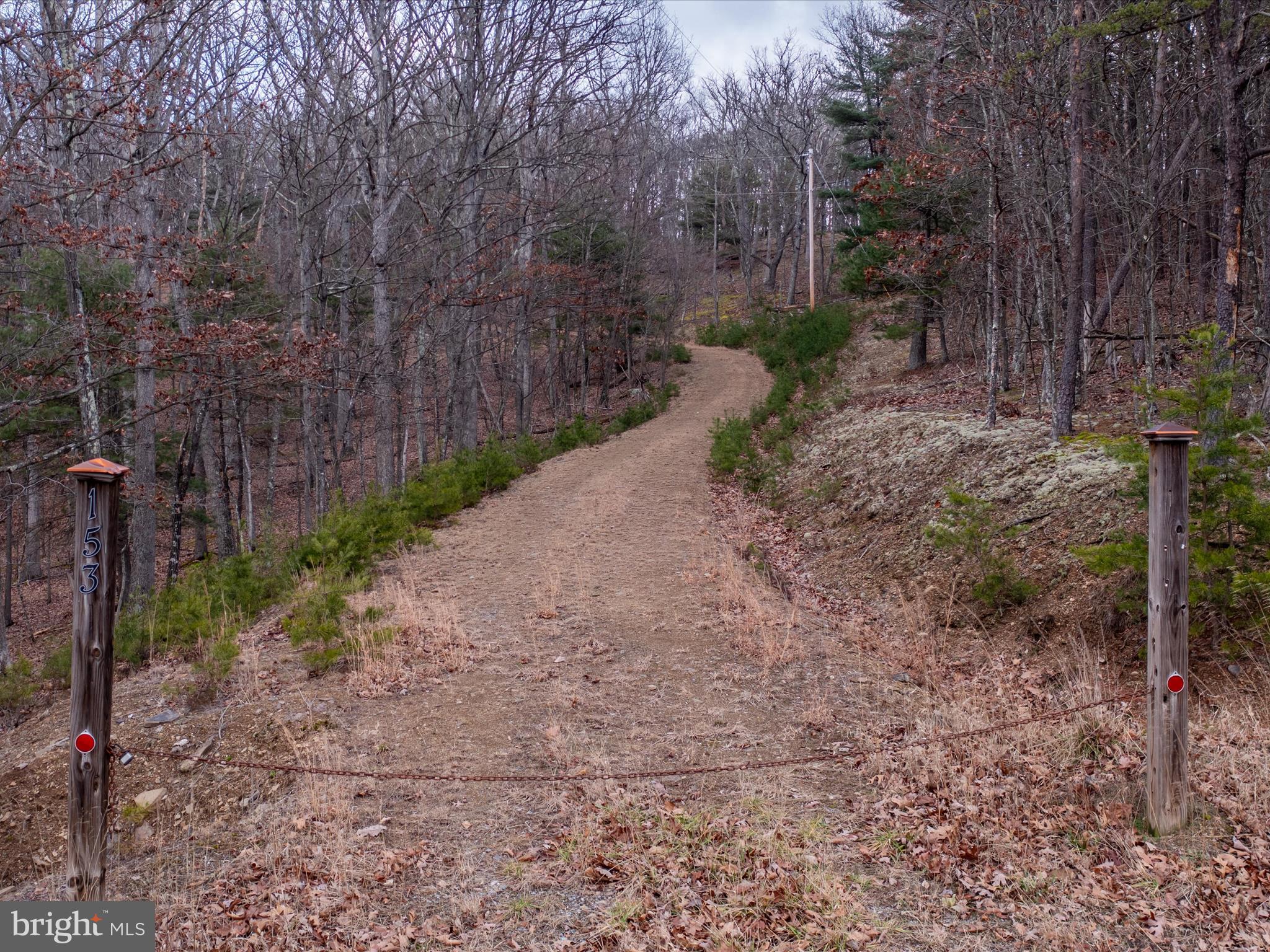 41.82 wooded acres with beautiful mountain views! The plat of record shows this as 3 lots, however the property is currently being taxed as one lot under Timber Management. There is the potential for it to be 4 lots with each lot already having a perc on file with the Health Department. There is also already electric run to the property AND a road is cut through the property making for easy access! There are so many options with this property - choose from one of the four potential build sites to build your dream home and enjoy all the privacy and serenity the rest of the property has to offer, OR build your dream home and sell the additional lots. With this property having the potential to be 4 lots and already having 4 percs on file with the Health Department, this would also be the perfect property for a builder! This property is truly a must see, schedule your showing today!