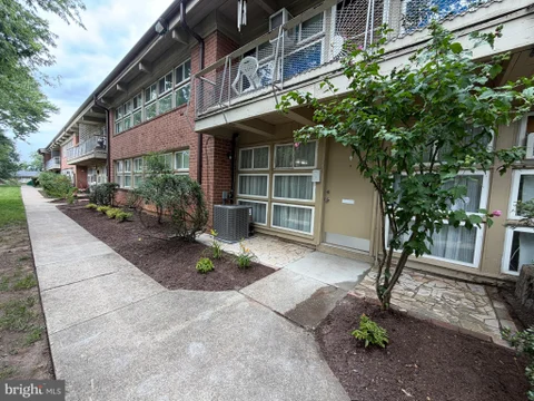 MLS: MDPG2215376