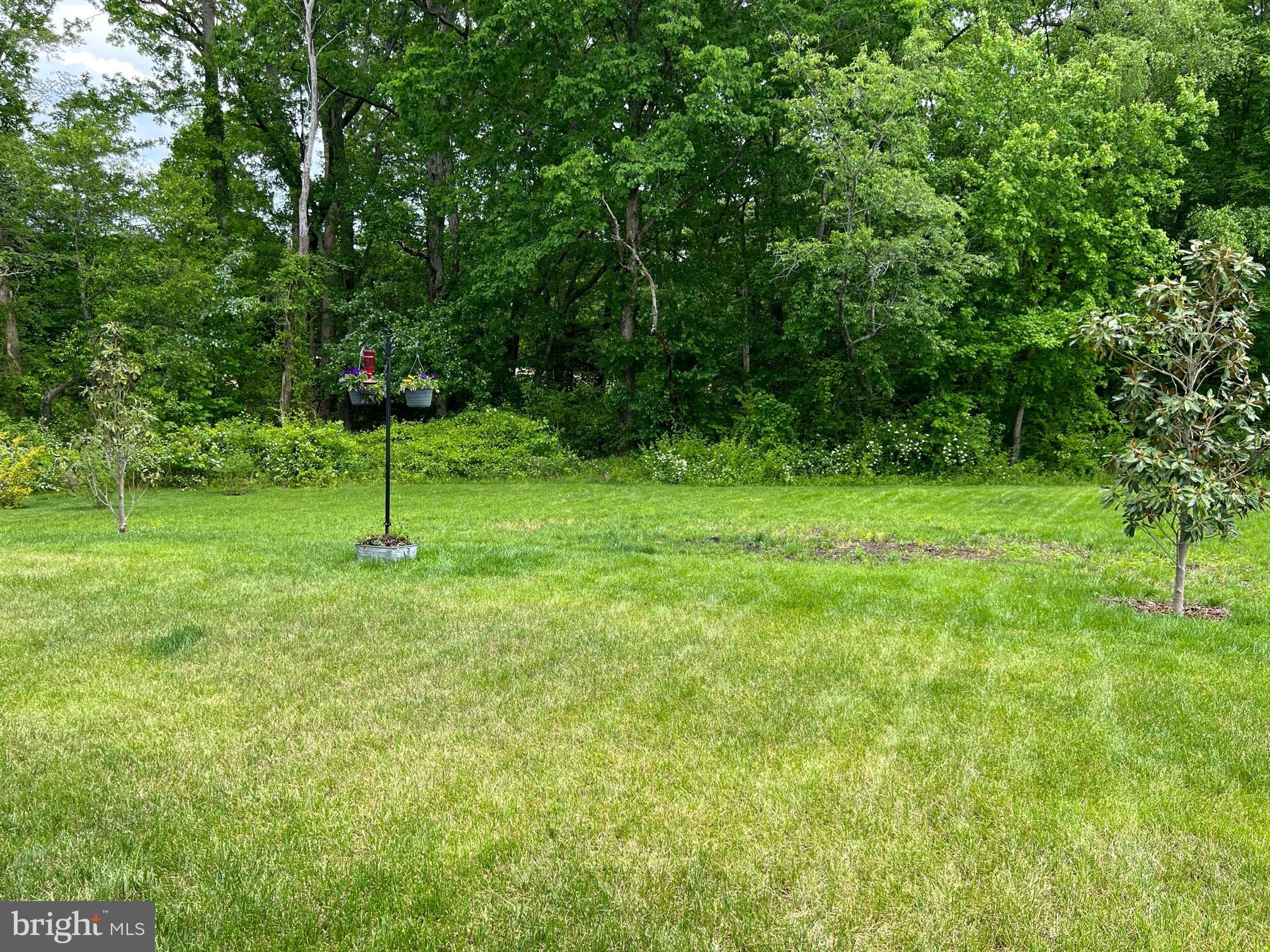 ELIZABETH HILLS PHASE 4 - Residential