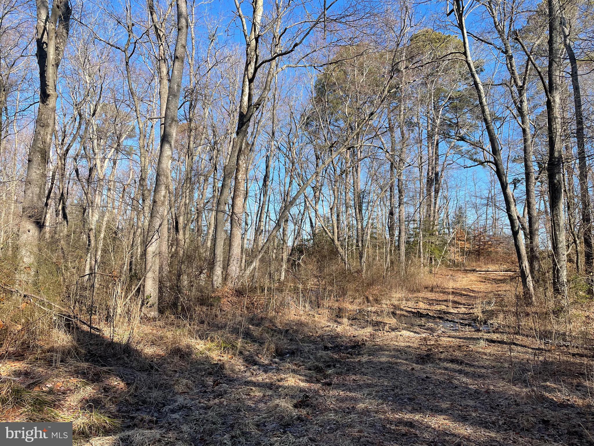 BEAVER DAM RD